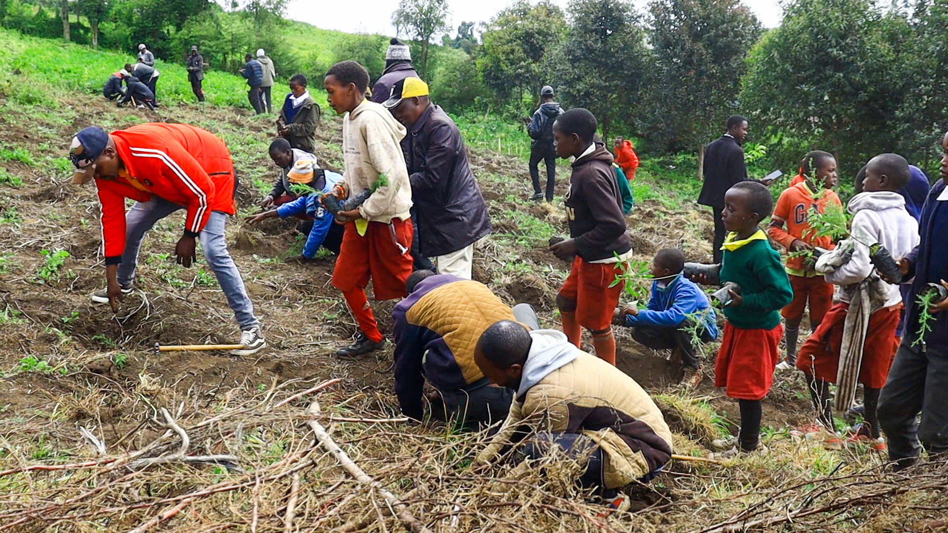 Tree planting ceremony