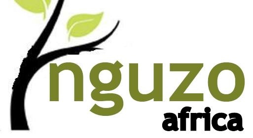 Nguzo Africa Logo